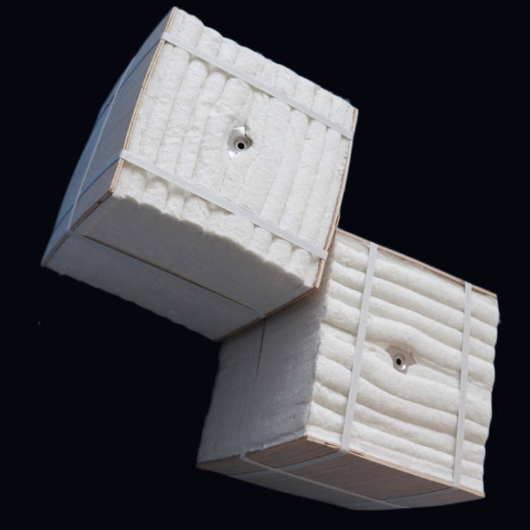OEM High Quality Ceramic Module Product - Ceramic fiber modules/Veneer blocks – Times Industry
